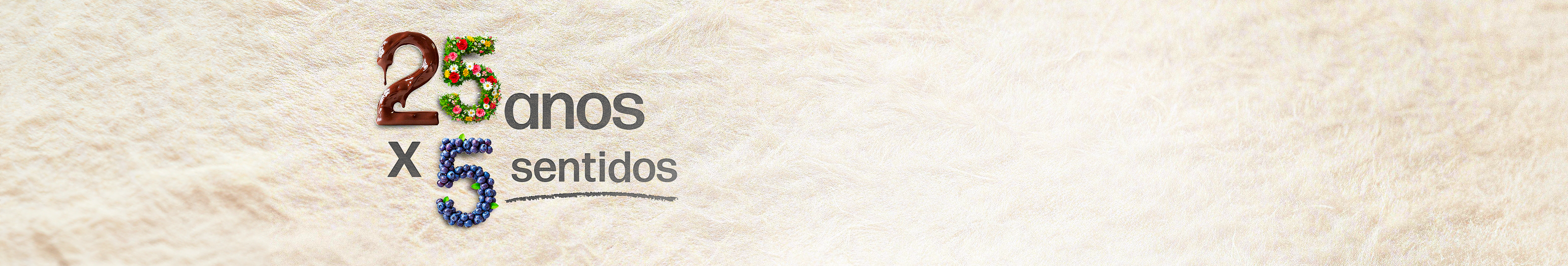 25 anos Perfil Design