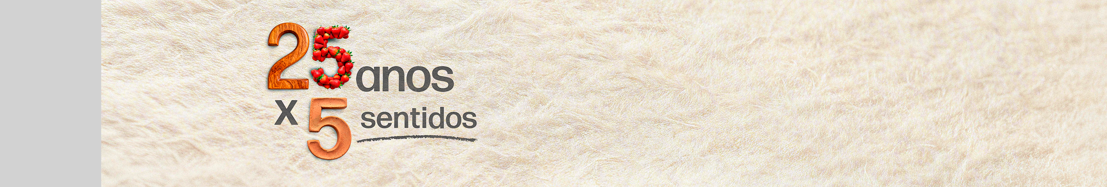 25 anos Perfil Design